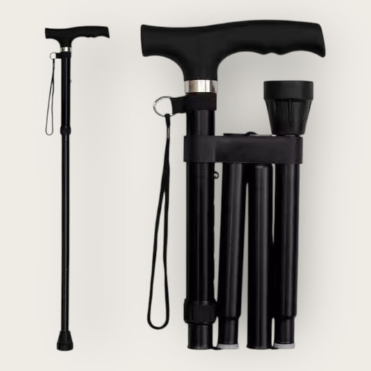 Metallic Black Cane